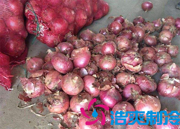 建造1000噸洋蔥保鮮冷庫(kù)安裝費(fèi)用是多少？