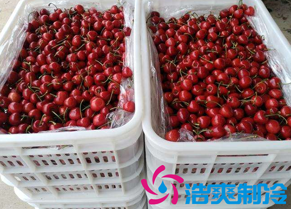 櫻桃氣調(diào)建造完成后有哪些儲(chǔ)存方法和步驟？_浩爽制冷