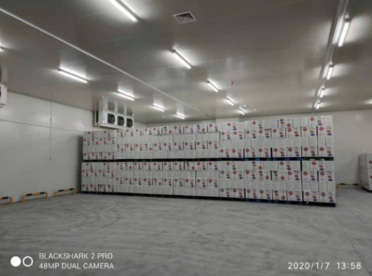 水果蔬菜冷庫建造對庫溫設計有何要求？_浩爽制冷