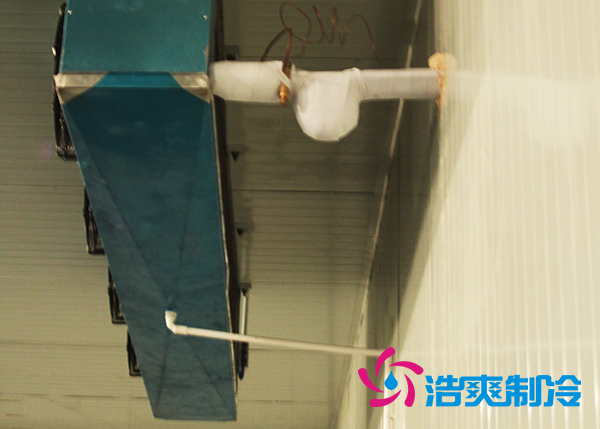 建造大型農(nóng)產(chǎn)品基地冷庫(kù)造價(jià)需要投資多少費(fèi)用？