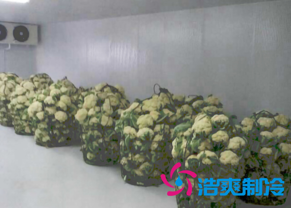 上海建造2000立方米鮮花氣調(diào)保鮮冷庫(kù)造價(jià)多少錢？
