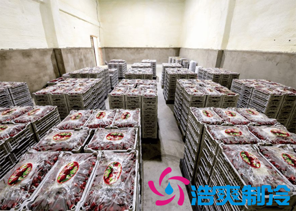 果蔬保鮮冷庫安裝造價需要多少錢？_浩爽制冷