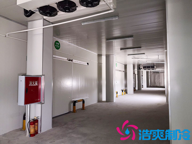 芭蕉氣調(diào)保鮮庫(kù)安裝如何確保果實(shí)的長(zhǎng)期儲(chǔ)存？_浩爽制冷
