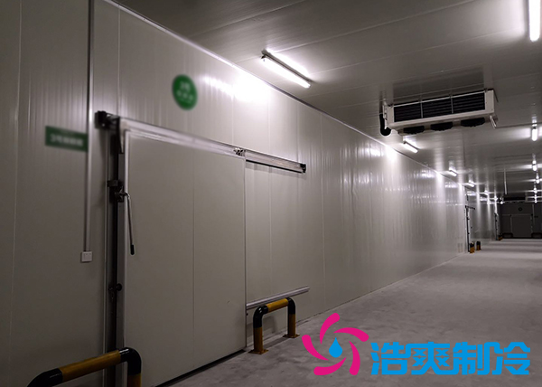 新鮮檳榔如何通過建造檳榔凍庫有效儲存？_浩爽制冷