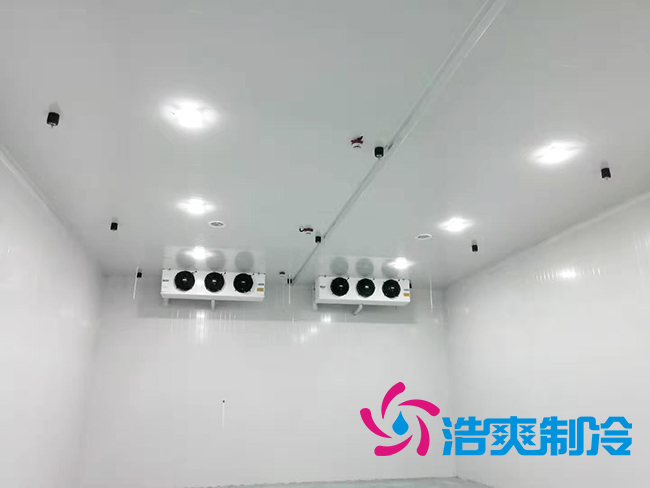 超低溫凍庫建設(shè)價(jià)格與哪些因素有關(guān)？_浩爽制冷