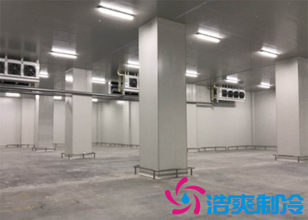 食品冷凍庫(kù)建造需要多少成本？_浩爽制冷