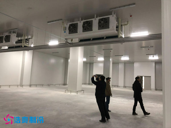 建造一間鳳梨保鮮冷庫(kù)費(fèi)用需要多少錢(qián)？_浩爽制冷