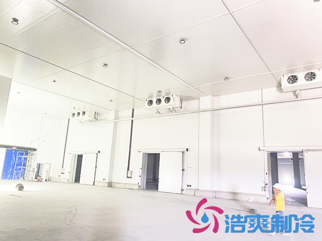 海南建造一個(gè)冷庫需要多少錢？_浩爽制冷