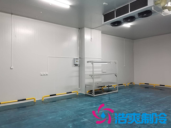 建一個(gè)1000平米蔬菜恒溫庫(kù)成本多少錢？_浩爽制冷