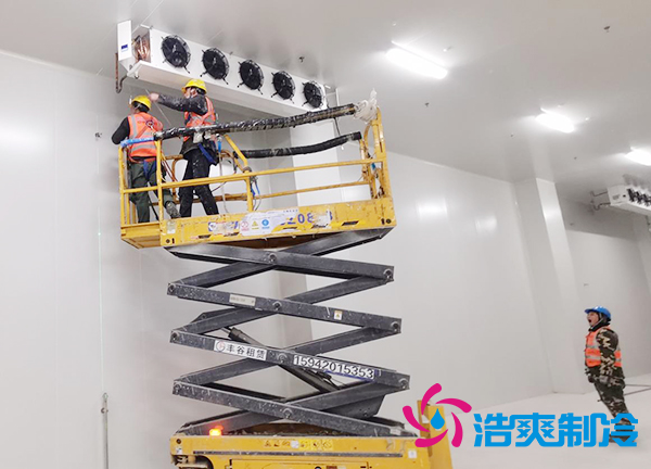 蔬菜種植基地建造600立方米保鮮冷庫(kù)大概需要多少錢？-浩爽制冷