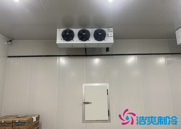 大型農(nóng)產(chǎn)品物流園冷庫建設多少錢一平方合適？-浩爽制冷