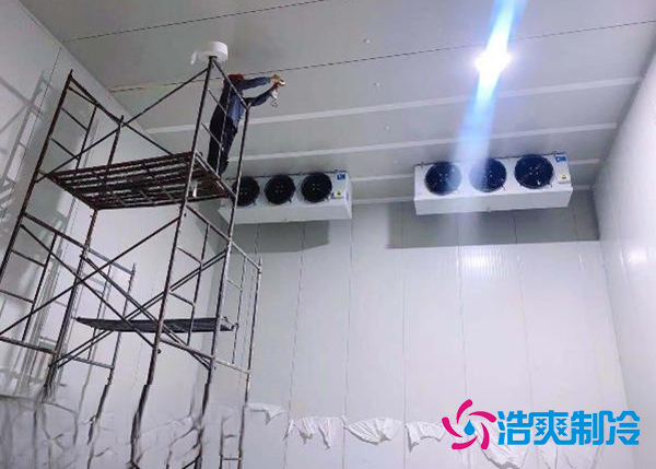 建造一個(gè)果蔬種植園氣調(diào)冷庫(kù)安裝造價(jià)大概投資多少錢？-浩爽制冷