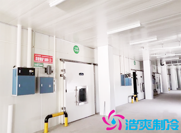 農(nóng)產(chǎn)品批發(fā)市場建造700立方保鮮冷庫全套制冷設(shè)備報價多少錢？-浩爽制冷