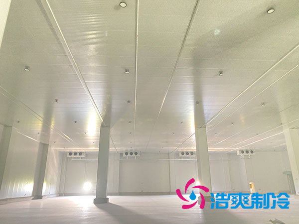 建一個100平方的乳制品冷凍庫要多少錢？
