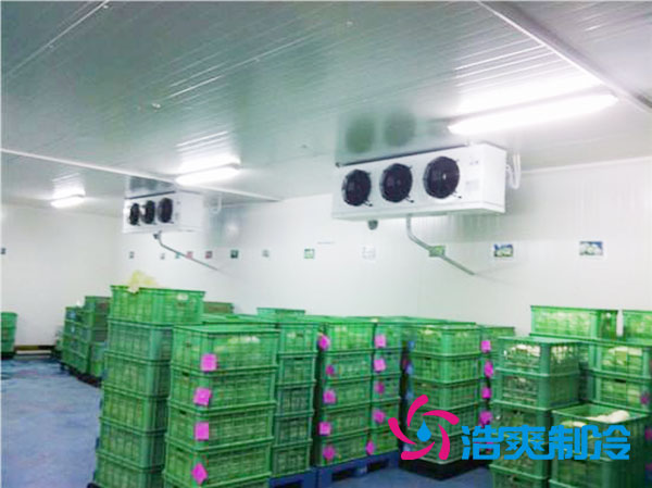 茶葉冷庫設(shè)置多少溫度合適？-浩爽制冷
