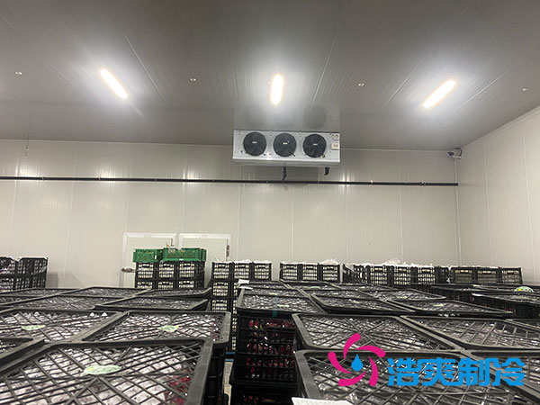 嘉定雞蛋冷庫(kù)安裝建造多少錢(qián)？-浩爽制冷