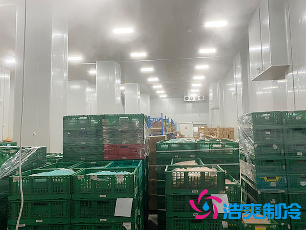 高溫冷庫建設(shè)多少錢一平方？-浩爽制冷