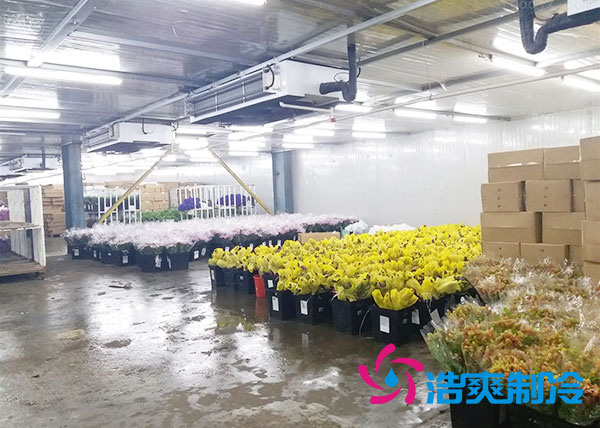 做個(gè)鮮花冷庫(kù)要多少錢？-浩爽制冷