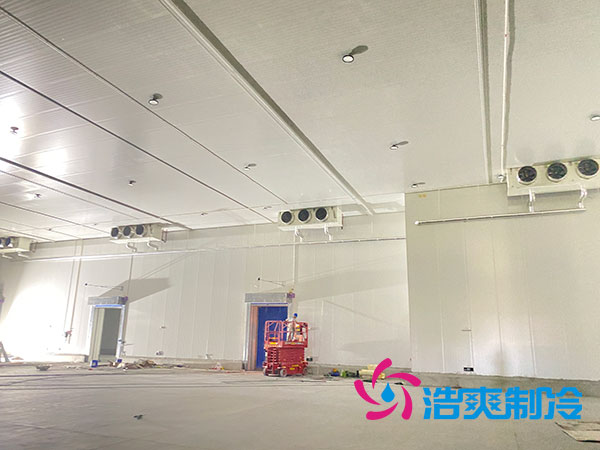 大型水果冷庫(kù)造價(jià)多少錢一平方？-浩爽制冷
