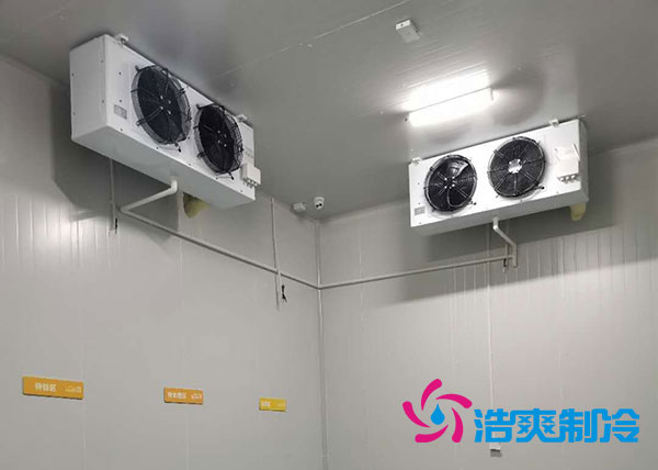 衡陽大型水果冷庫造價多少錢一平方？-浩爽制冷
