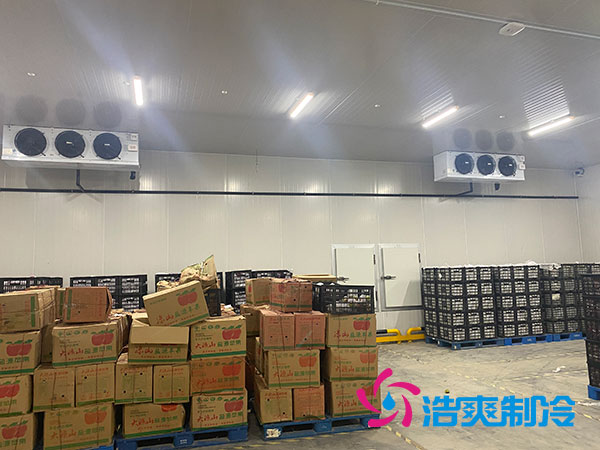 衡陽大型水果冷庫造價多少錢一平方？-浩爽制冷