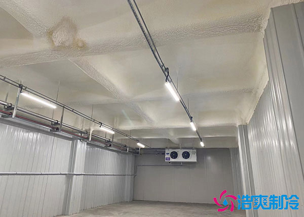 低溫冷庫建造用風冷好還是排管好？.jpg