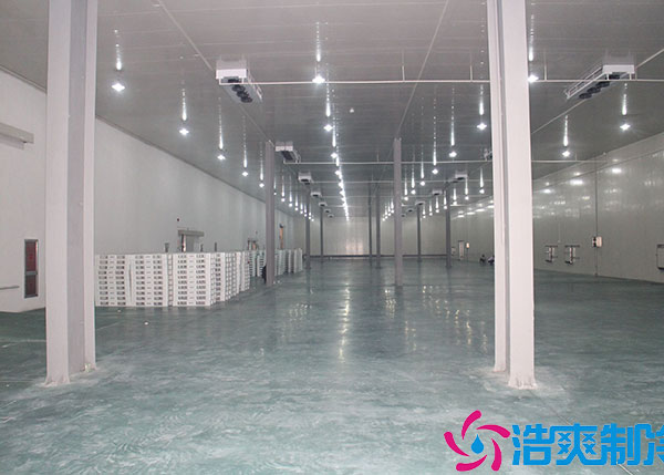 5000平倉儲物流冷庫造價多少錢？.jpg