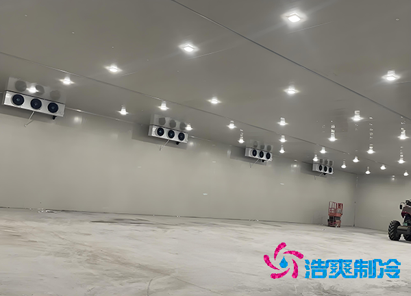 -18℃凍肉能放半年？揭秘食品冷庫造價秘密！-浩爽制冷