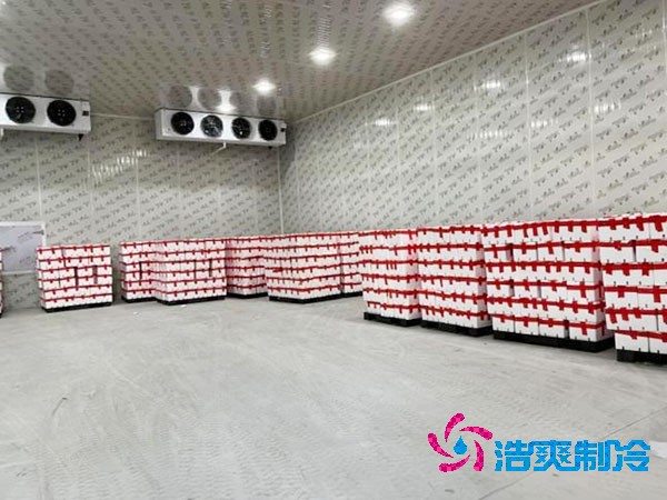 檳榔保鮮冷庫(kù)安裝造價(jià)費(fèi)用多少錢？-浩爽制冷
